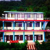 Monal